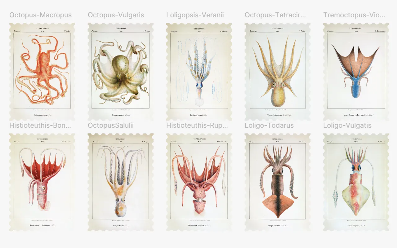 Chromocephalopods & Insectorum